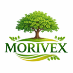 MORIVEX logo with Moringa tree