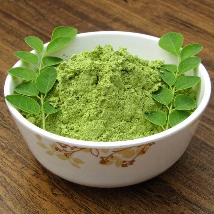 Organic drumstick leaf powder for health by karangrowth.com